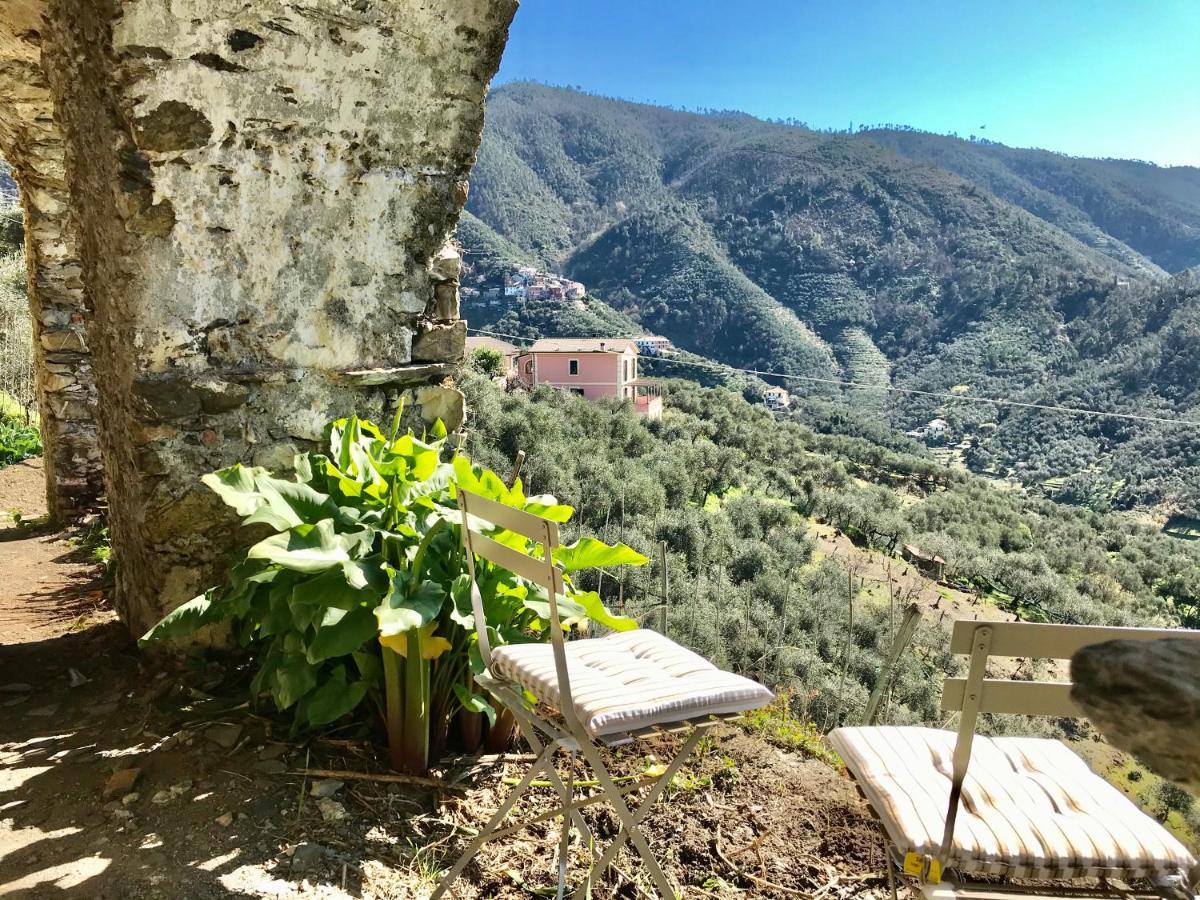 Agriturismo Sancristoforo Леванто Экстерьер фото